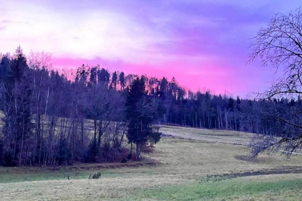 Gite De La Ravanne Ramonchamp Dış mekan fotoğraf